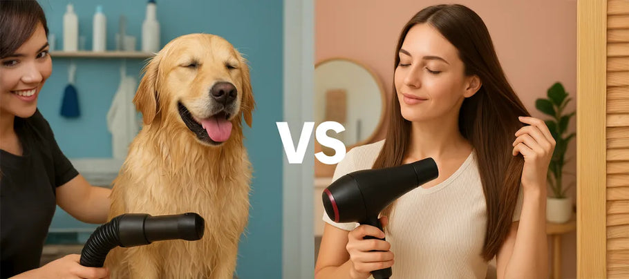 Dog Dryers Vs Human Hair Dryers: What's The Difference And Why It Matters?