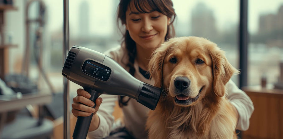 Maintenance, Longevity, And Cost: What U.S. Buyers Should Know Before Investing In A Quality Dog Dryer
