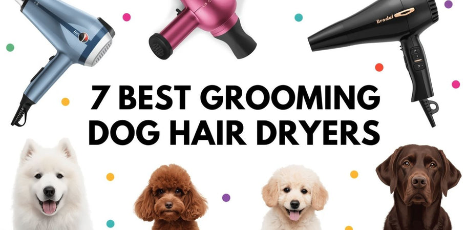 The 7 Best Grooming Dog Hair Dryers Of 2025