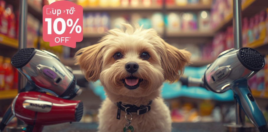 The Best Black Friday Dog Dryer Deals 2025: Exclusive Discounts Up To 10% Off