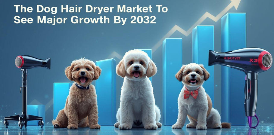 The Dog Hair Dryer Market To See Major Growth By 2032: A Deep Dive Into Innovation, Trends, And Future Opportunities